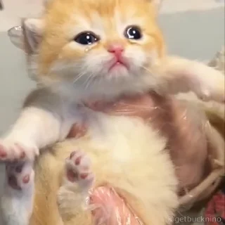 😢