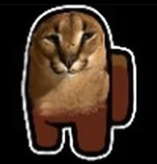 🐅