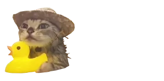 🐤