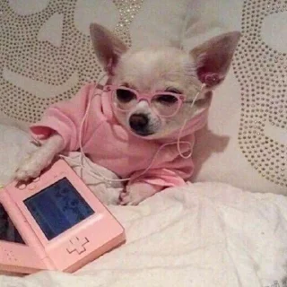 🐕