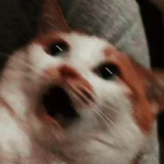🤯