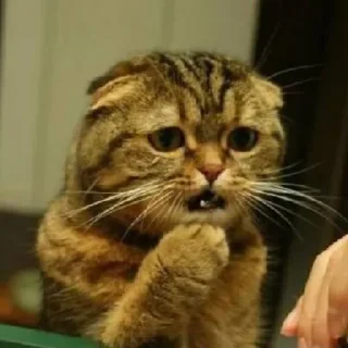 😦