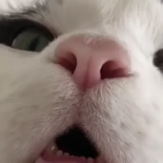 😯