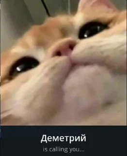 😡