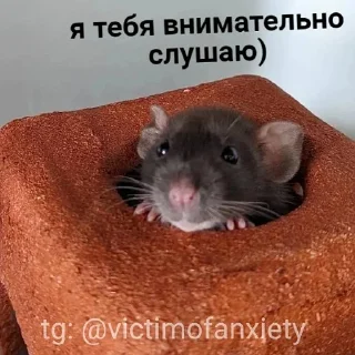 👂