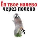 😂