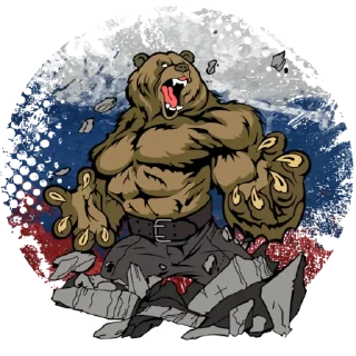 🐻