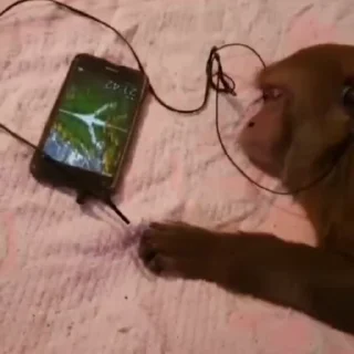 🎧