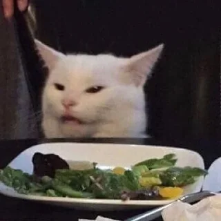😺