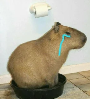 😭