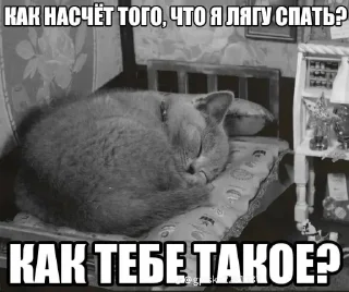 😴