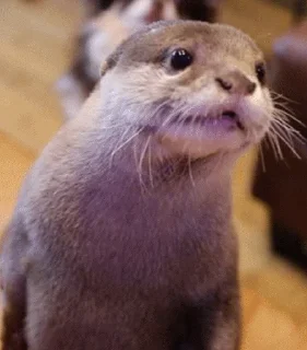 😁