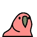 🦜