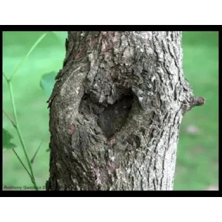 ❤
