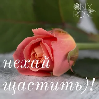 💕