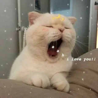 ❤️