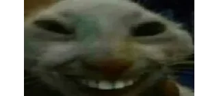 😁
