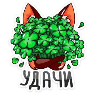 🍀