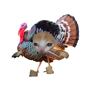 🦃