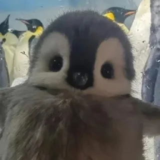 🤗