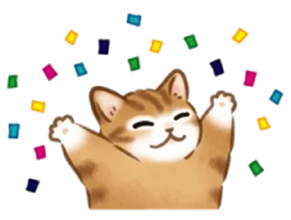🐱