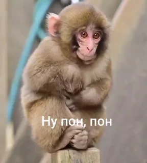 🤩