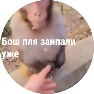 🌟