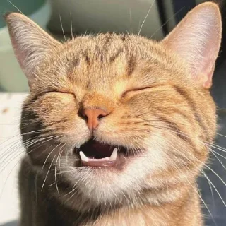 ☺️
