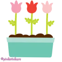 🌷