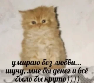 😢