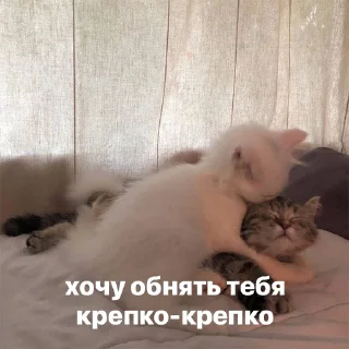 😘