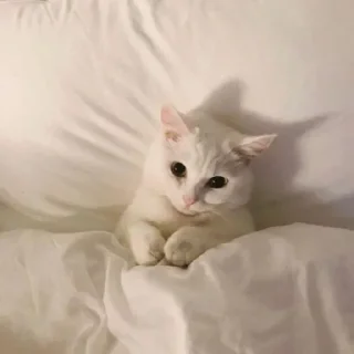 😌