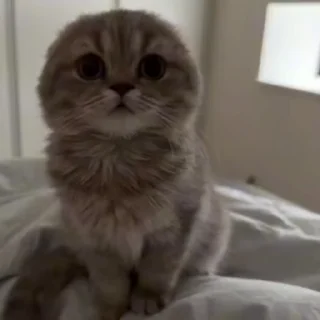 😨