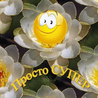 👍