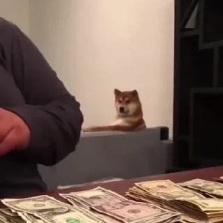 💵