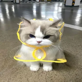 😑