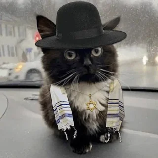 🔯