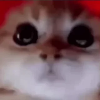 😡