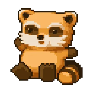 🦝
