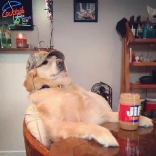 🍺