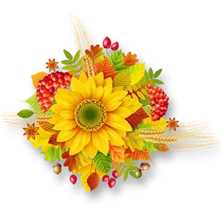 🌼