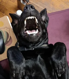 😱