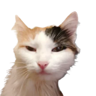 😏