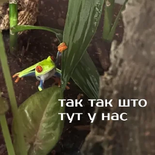 🤭