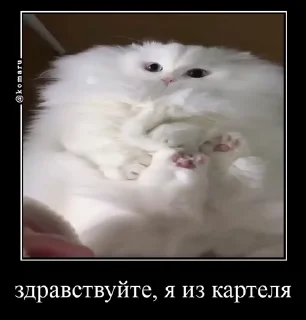 🤩