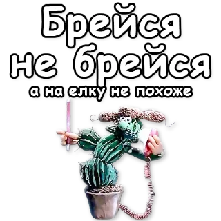 🌵