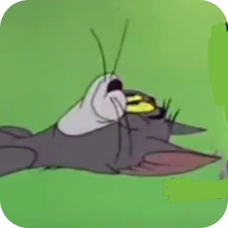 🖼
