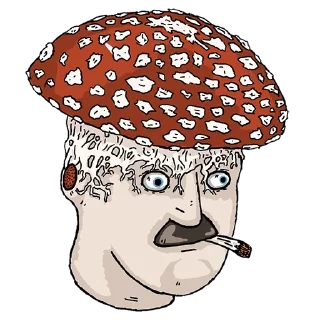 🍄