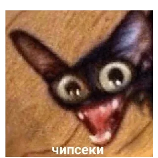 🍔