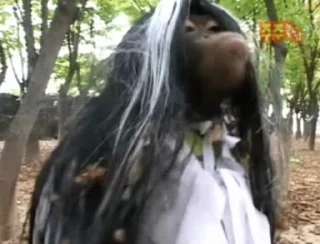 🐒